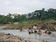 Hairwashing in the stream