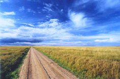 Vast open plains