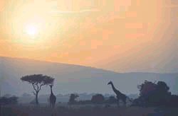 Late evening view across the plain