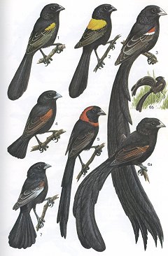 The page that got the "Ooohs!"